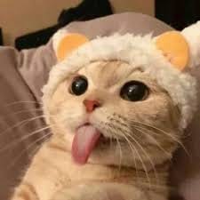 Lê Thị Hà avatar